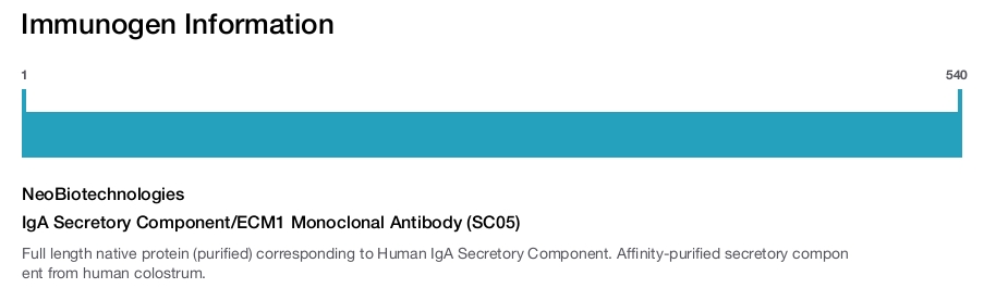IgA Secretory Component/ECM1 Monoclonal Antibody (SC05)