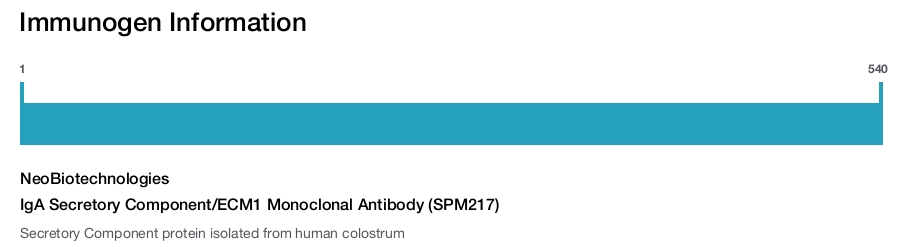 IgA Secretory Component/ECM1 Monoclonal Antibody (SPM217)