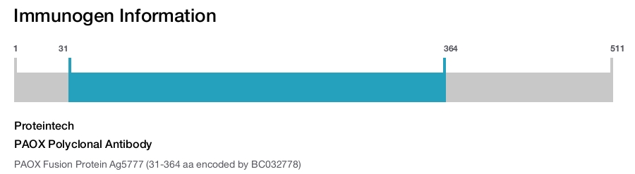 PAOX Polyclonal Antibody