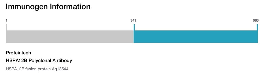 HSPA12B Polyclonal Antibody