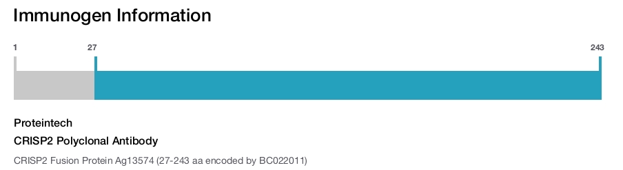 CRISP2 Polyclonal Antibody