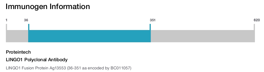 LINGO1 Polyclonal Antibody