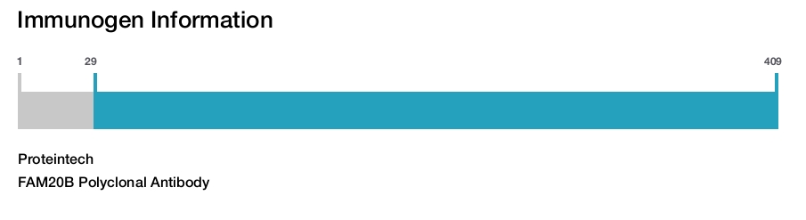 FAM20B Polyclonal Antibody