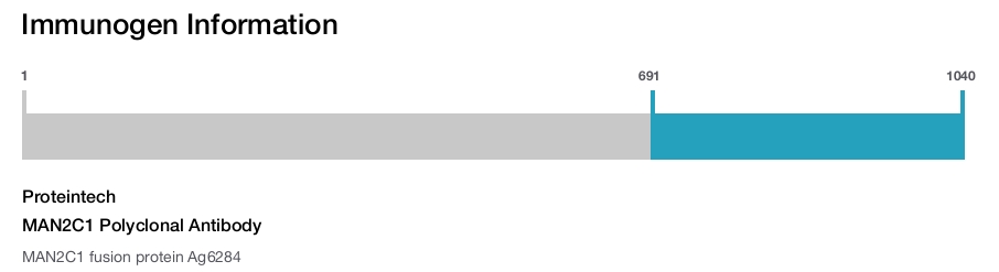 MAN2C1 Polyclonal Antibody