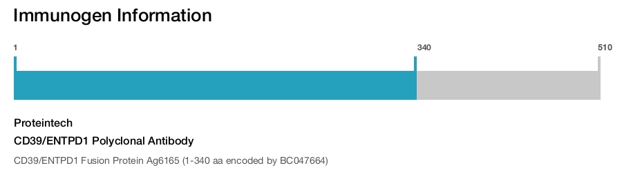 CD39/ENTPD1 Polyclonal Antibody
