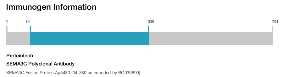 SEMA3C Polyclonal Antibody