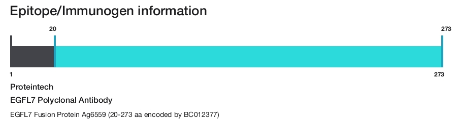 EGFL7 Polyclonal Antibody