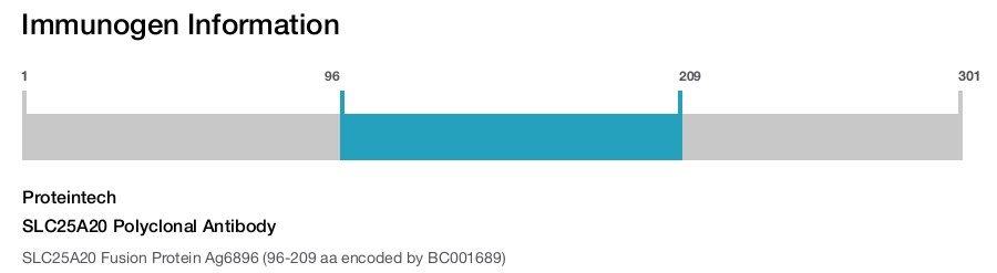 SLC25A20 Polyclonal Antibody