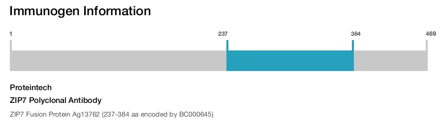 ZIP7 Polyclonal Antibody
