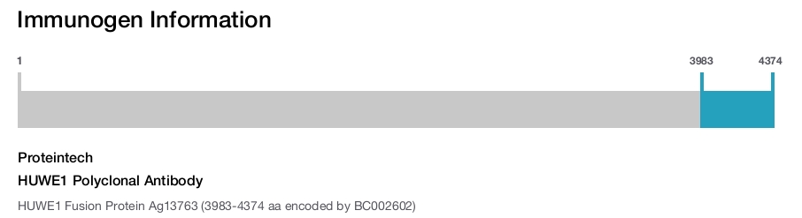 HUWE1 Polyclonal Antibody