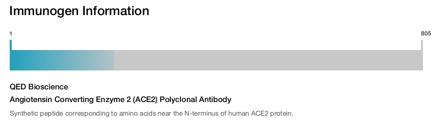 Angiotensin Converting Enzyme 2 (ACE2) Polyclonal Antibody