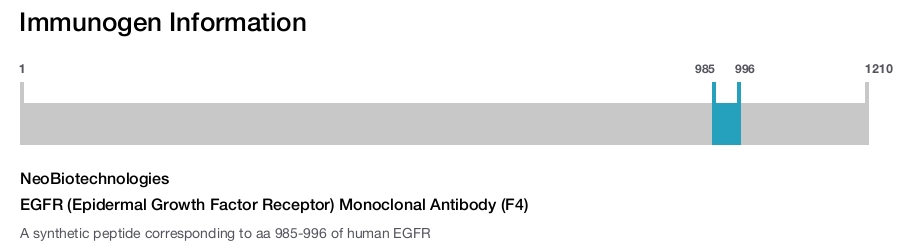 EGFR (Epidermal Growth Factor Receptor) Monoclonal Antibody (F4)