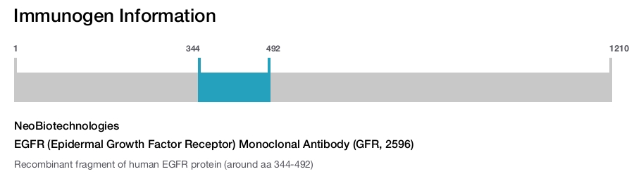EGFR (Epidermal Growth Factor Receptor) Monoclonal Antibody (GFR, 2596)