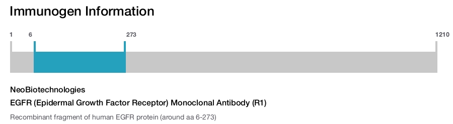 EGFR (Epidermal Growth Factor Receptor) Monoclonal Antibody (R1)