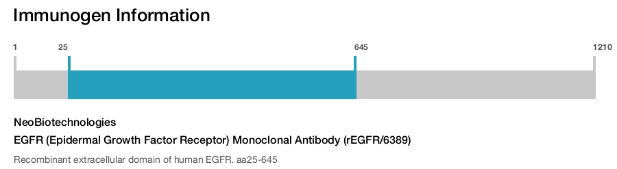 EGFR (Epidermal Growth Factor Receptor) Monoclonal Antibody (rEGFR/6389)