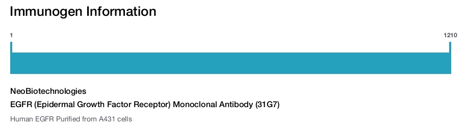 EGFR (Epidermal Growth Factor Receptor) Monoclonal Antibody (31G7)