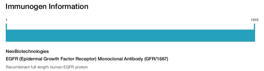 EGFR (Epidermal Growth Factor Receptor) Monoclonal Antibody (GFR/1667)