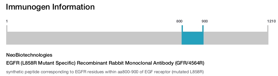 EGFR (L858R Mutant Specific) Recombinant Rabbit Monoclonal Antibody (GFR/4564R)