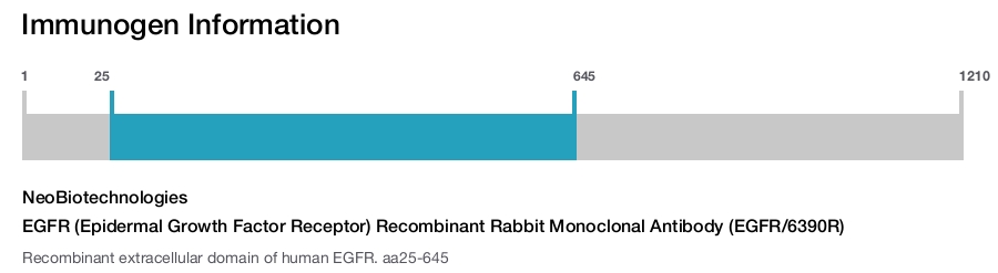 EGFR (Epidermal Growth Factor Receptor) Recombinant Rabbit Monoclonal Antibody (EGFR/6390R)