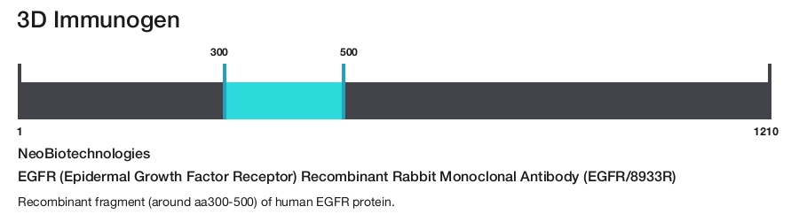 EGFR (Epidermal Growth Factor Receptor) Recombinant Rabbit Monoclonal Antibody (EGFR/8933R)