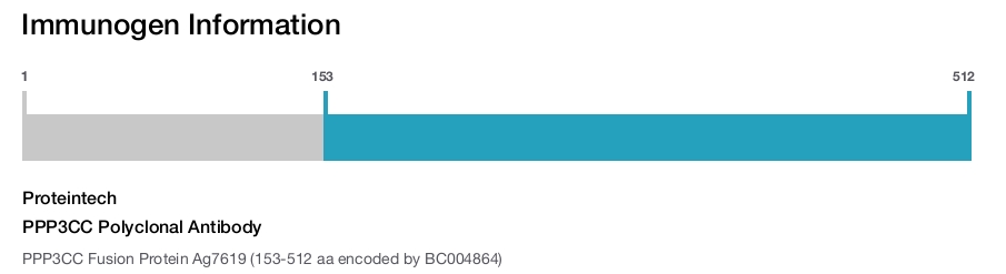 PPP3CC Polyclonal Antibody