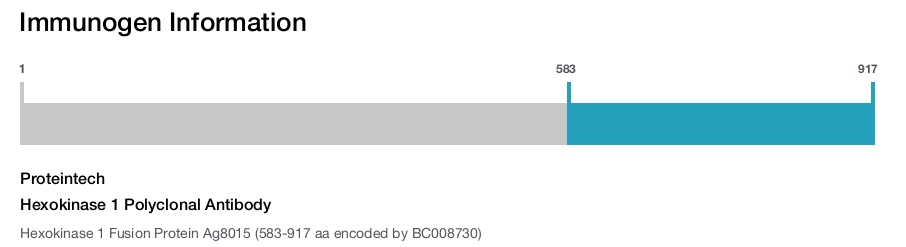 Hexokinase 1 Polyclonal Antibody