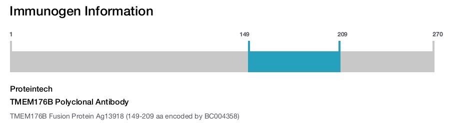 TMEM176B Polyclonal Antibody
