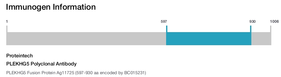 PLEKHG5 Polyclonal Antibody