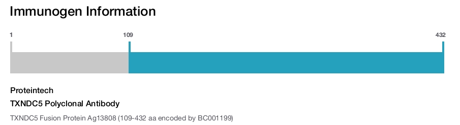 TXNDC5 Polyclonal Antibody