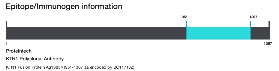 KTN1 Polyclonal Antibody