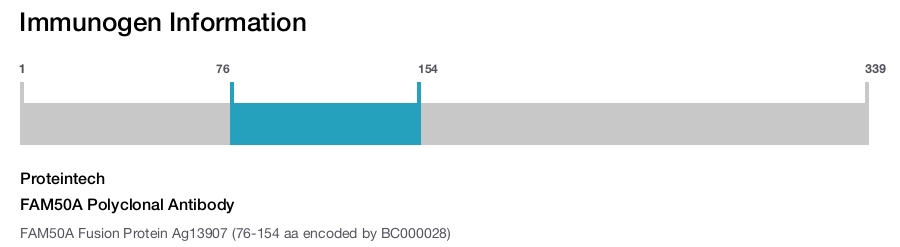 FAM50A Polyclonal Antibody