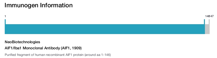 AIF1/Iba1 Monoclonal Antibody (AIF1, 1909)