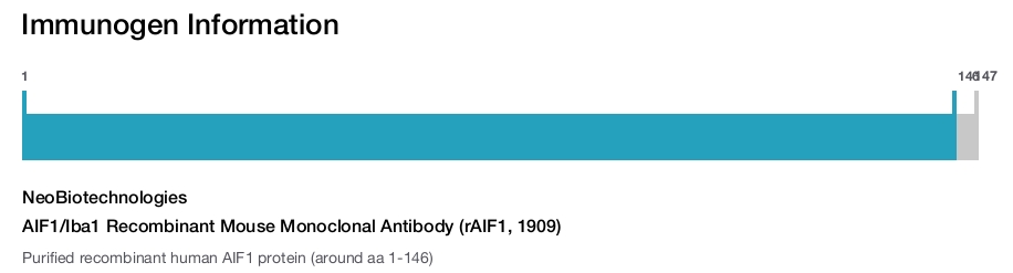 AIF1/Iba1 Recombinant Mouse Monoclonal Antibody (rAIF1, 1909)