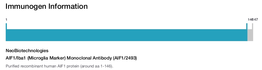 AIF1/Iba1 (Microglia Marker) Monoclonal Antibody (AIF1/2493)