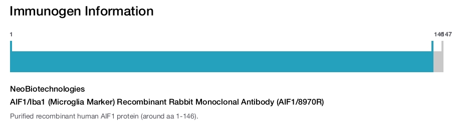 AIF1/Iba1 (Microglia Marker) Recombinant Rabbit Monoclonal Antibody (AIF1/8970R)