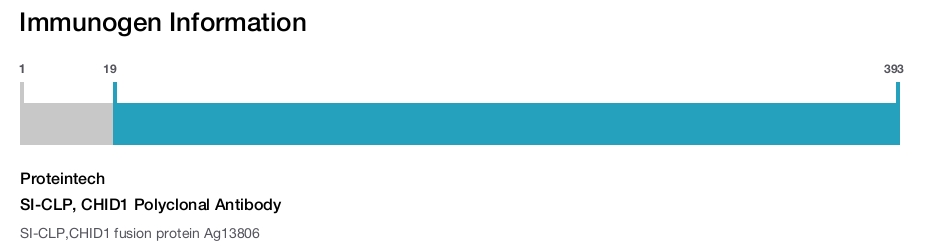 SI-CLP, CHID1 Polyclonal Antibody
