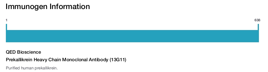 Prekallikrein Heavy Chain Monoclonal Antibody (13G11)