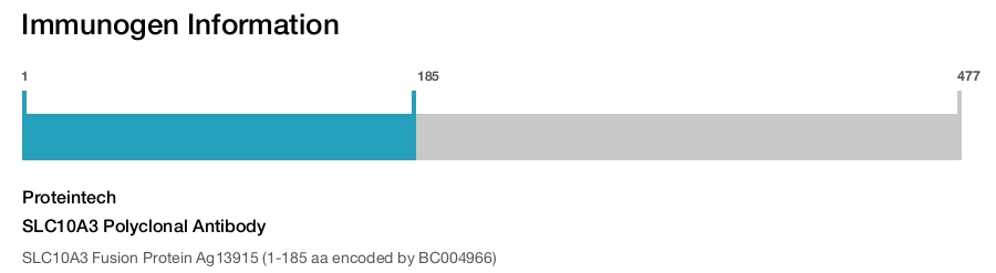 SLC10A3 Polyclonal Antibody