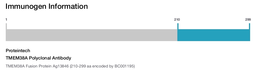 TMEM38A Polyclonal Antibody