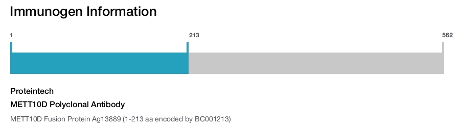 METT10D Polyclonal Antibody