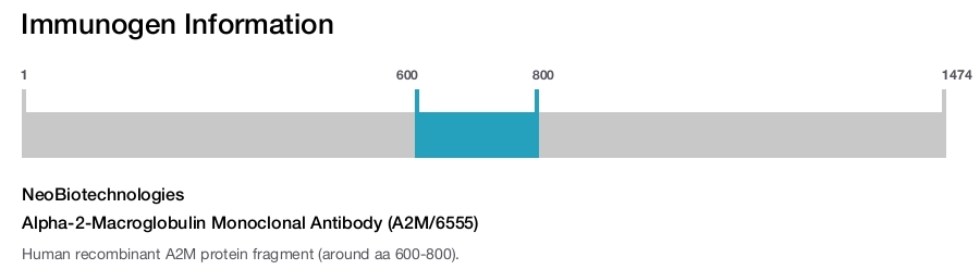 Alpha-2-Macroglobulin Monoclonal Antibody (A2M/6555)
