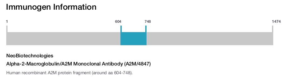 Alpha-2-Macroglobulin/A2M Monoclonal Antibody (A2M/4847)