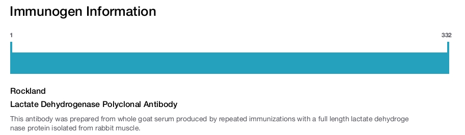 Lactate Dehydrogenase Polyclonal Antibody