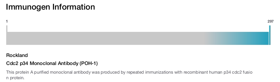 Cdc2 p34 Monoclonal Antibody (POH-1)