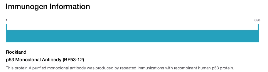 p53 Monoclonal Antibody (BP53-12)