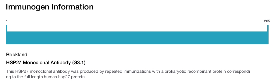 HSP27 Monoclonal Antibody (G3.1)
