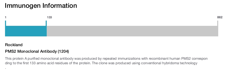 PMS2 Monoclonal Antibody (1204)
