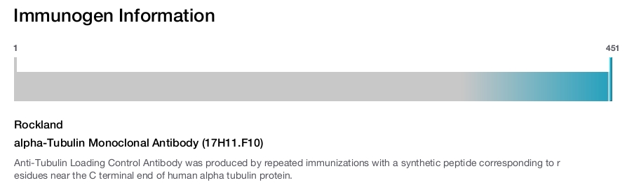 alpha-Tubulin Monoclonal Antibody (17H11.F10)