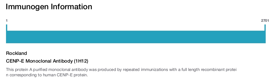 CENP-E Monoclonal Antibody (1H12)
