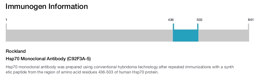 Hsp70 Monoclonal Antibody (C92F3A-5)